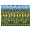 Butterfly Meadow 18"x13" Stereogram Poster