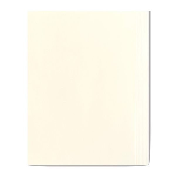 Paper Mitsuyama Book Paper, Light Cream Kinmari, 4/6, 16.7 lbs (72.5 kg), 2.9 oz (84.3 g/m2), A4, 100 Sheets