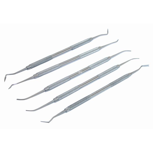 BDeals 5 pc PK Thomas Stainless Steel Dental Instruments set