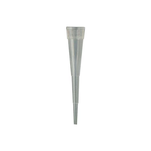 Micro-Size Pipette Tips, Non-Sterile, 0.5-10µl Capacity, Bulk, 1000 per Case