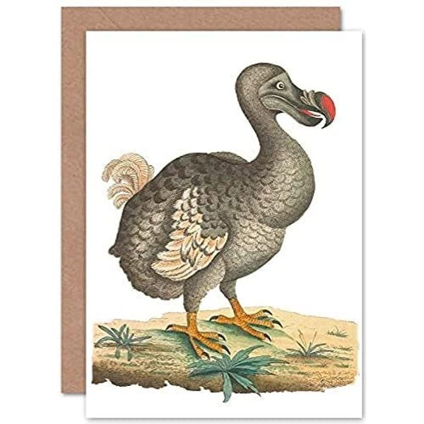 Fine Art Prints Bird Dodo Vintage Illustration Greeting Card With Envelope Inside Premium Quality