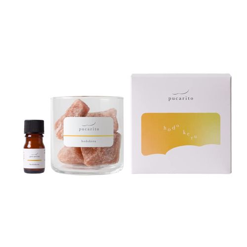 Tree of Life Pucarito Crystal Diffuser Hodokeru