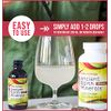 Body Ecology Ancient Earth Liquid Minerals | 100% Plant-Derived Trace Mineral Liquid Supplement | Fast-Absorbing Electrolyte Solution for Immune Support | 60 Servings (2 fl oz)