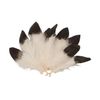 Golden Eagle Coverlet Feathers, 10 Feathers (Imitation)