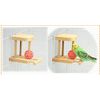 Sanko Shokai Sanko Bird Toy Mirror