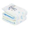 Littleforbig Printed Diaper 2 Pieces Pack 3 Prints Random Assorted - Astro Babies (Medium 28"-38")