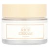 Rice Cream, 1.76 oz (50 g)