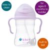 b.Box Boysenberry Weighted Straw Learning Cup (Light Purple) 6+ Months 1 Unit