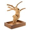 Prevue Pet Products Coffeawood Tree Mini Table Top (X-Small)