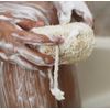 Combo Set: Exfoliating Body Scrub, Shea Butter Moisturizer, & Loofah for Smooth