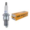 Mountfield Lawn Mower Engine Spark Plug Models SV200 & RM65 (2007-2008)