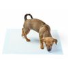 100 SUPER MAX ABSORBENCY 23 x 36 EXTRA LARGE Dog Puppy Training Wee Wee Pee Pads