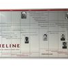 Parthenon Graphics Timelines The Serial Killer Timeline Poster