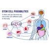 Stem Cell Repair Tea-Cell Regenerative-I