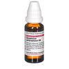 DHU Gnaphalium polycephalum D6 Dilution, 20 ml Lösung