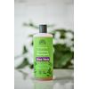 Urtekram Aloe Vera Shampoo Organic Dry Hair 500ml