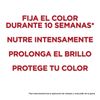 Elvive Color-Vive Protective Shampoo - 370 ml