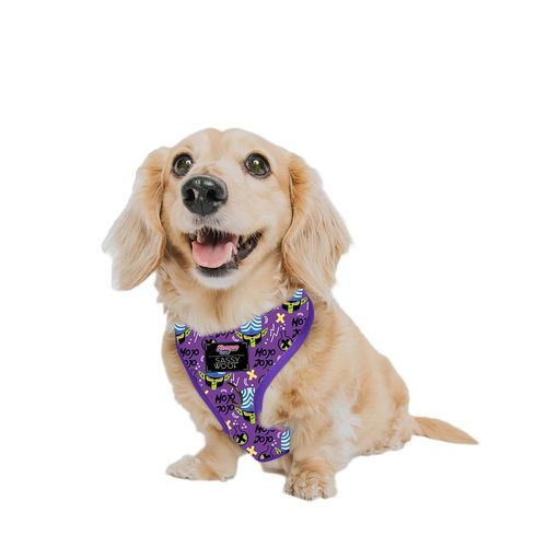 Sassy Woof Dog Adjustable Harness - Mojo JoJo™ - XS, Breathable Mesh, No Pull Design with Two D-Rings, Patented Design, Perfect for Small Dogs and Puppies - Officially Licensed