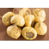 Dog And Cat Kryptonite Meal Topper - Adrenal, Thyroid, Pituitary & Hypothalamic
