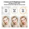 10" LED Ring Light Mini Stand Kit Dimmable Photos Studio Selfie Phone Live Lamp