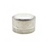 Thrifco 8918087 1-1/2 Cap Stainless Steel