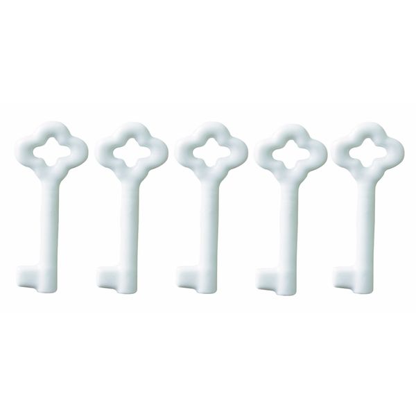 Hasami Ware Essence 43648 es-5 Key Set of 5