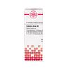 Curcuma longa D3 DHU Dilution, 20 ml Lösung