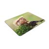 Cute Red Squirrel Mouse Mat Pad - Wildlife Forest Animal Computer #15791