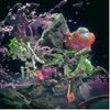 Ways Of Seeing [VINYL]