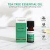 Tisserand Aromatherapy TEA TREE Ethically Harvested, 9ml