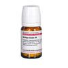 Ginkgo biloba D6 DHU Tabletten, 80 St. Tabletten