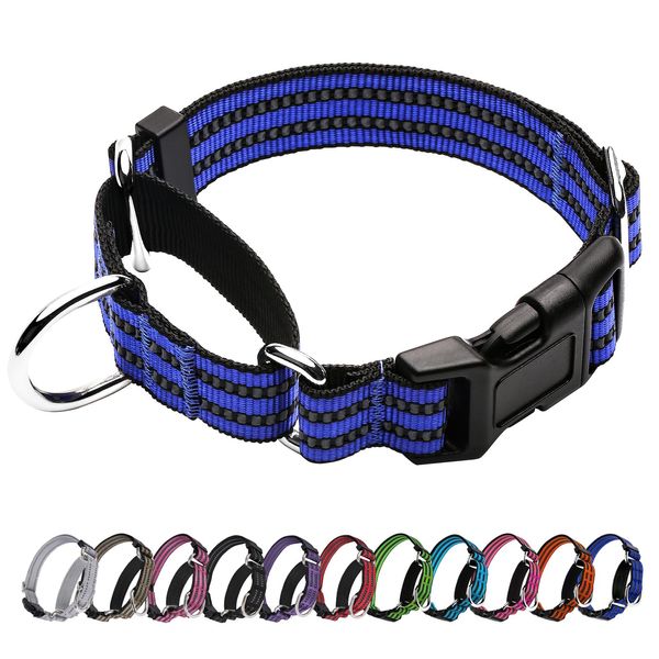 JOYEEIIOO Martingale Dog Collar, Adjustable Nylon Reflective Collar with Quick Release Buckle (Royal Blue, Large)