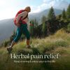 New Chapter Zyflamend™ Multi-Herbal Pain Reliever+ Joint Supplement, 10-in-1 Superfood Blend with Ginger & Turmeric for Healthy Inflammation Response & Herbal Pain Relief+, 60 Count