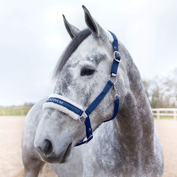 HORZE Howard Soft Fleece Padded Adjustable Polyester Horse Halter - Peacoat Dark Blue - Horse