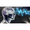 immune support for all - ORGANIC BLUE GREEN ALGAE - brain food 2 BOTTLE