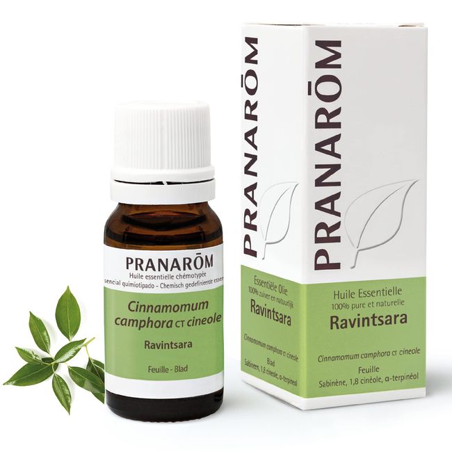 Pranarôm Essential Oil Ravintsara (Cinnamomum camphora CT cineole) 10 ml