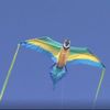 WindNSun Rainforest Nylon Kite, Macaw, 60 Inches Wide