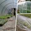 PDL - Pegdev 1M X 4M 250G CLEAR POLYTHENE PLASTIC SHEETING GARDEN DIY MATERIAL