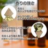 mocnhien Aroma Oil with Hanging Diffuser 10ml (Coffee)