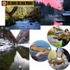 Spoons Trout, 14x UV-Active Trout Bait, Machilea Spoon Set with Bag, Blinker Twist Fishing Lure, Trout Bait, 1.6g/2.5g/3g/3.5g/4g