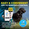 Dogtra SMART NOBARK - No Bark Collar, Smart Phone App Link - Black