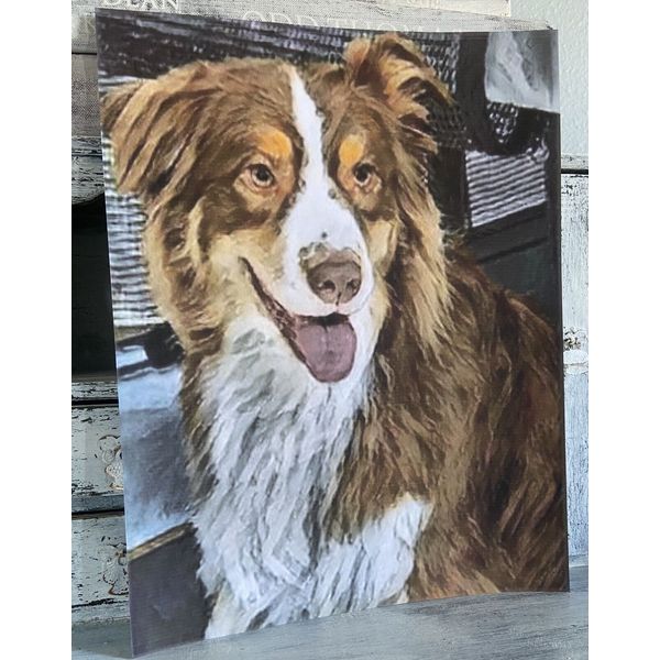 Border Collie Dog Art Print 8x10  Pet Portrait