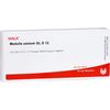 Medulla Ossium Gl D12 Wala Ampullen, 10X1 ml AMP