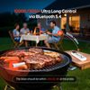 INKBIRD Wireless Meat Thermometer BBQ Cooking 305m/1000ft Remote Control Smoking