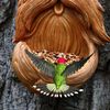 Bird Feeders with Tree Faces - Outdoor Tree Art Decorations - Surprise Present