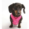Rogz Lapz Trendy Wrapz Harness, X-Small, Black Bones