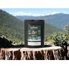 Eucalyptus Leaf - Respiratory Health