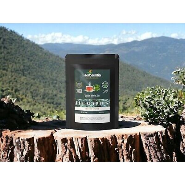 Eucalyptus Leaf - Respiratory Health
