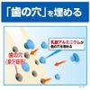 [Bulk Purchase] Haumel Medicated Toothpaste, 3.5 oz (100 g) x 2, Fill Tooth Holes, Kobayashi Pharmaceutical [Quasi-Drug]