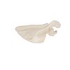 Life-Size Scapular Model - Scapular Model - 3B Scientific